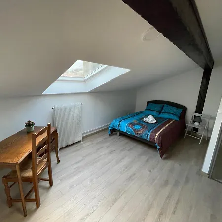 Bel 2 Chambres Artem/nancy Thermal Nancy